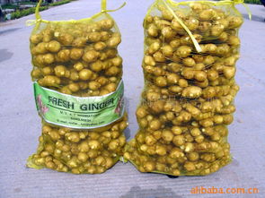 萊蕪市萊城區振興農副產品綜合加工廠官方網站 - 健康零食，源自純正農產